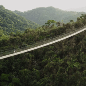 trail Puerto Vallarta course nature dans la jungle Mexique