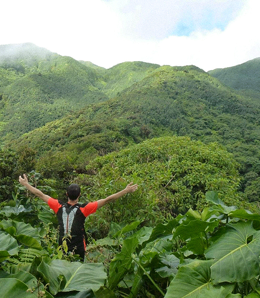course à pied en pleine nature lors d’un voyage running en Colombie